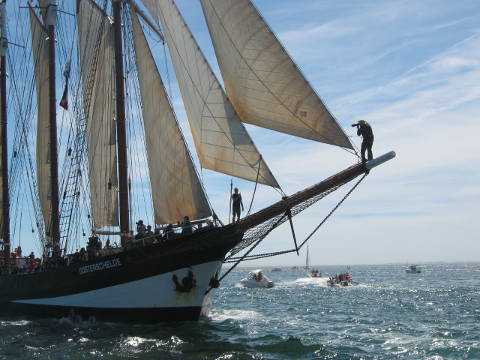 Fécamp Grand'Escale - Les bateaux - Programme nautique