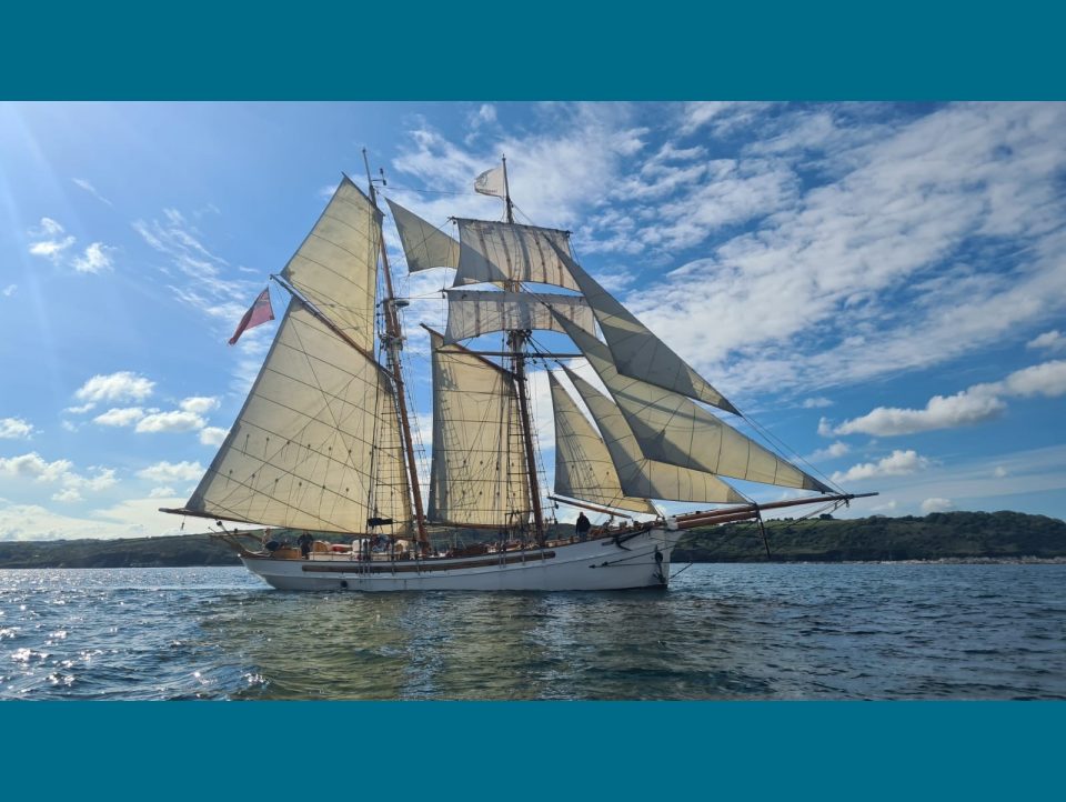 Anny of Charlestown